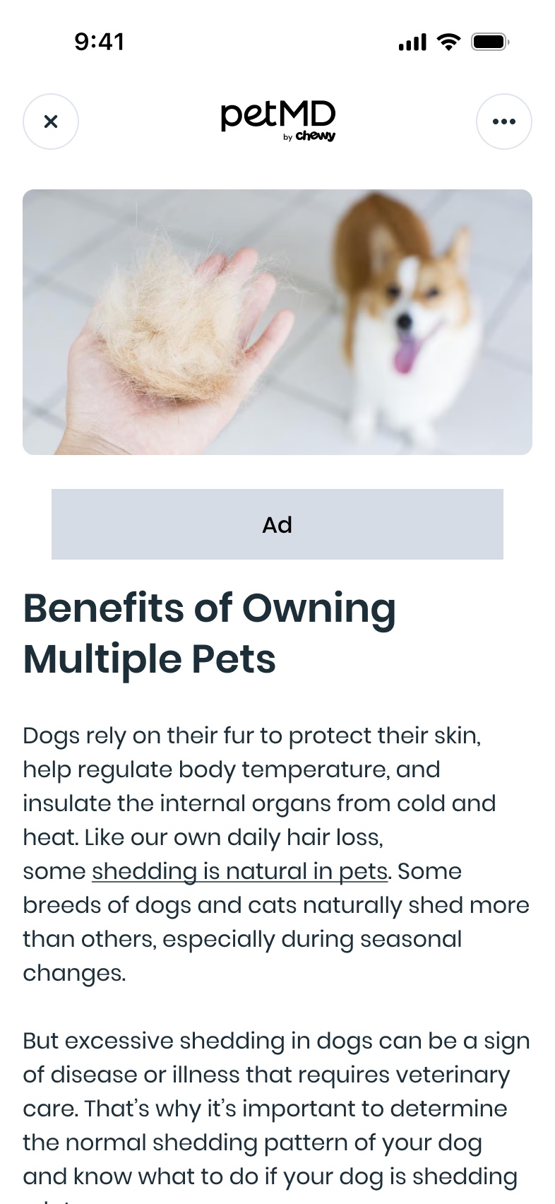 A Rosco article on dog shedding, framing when a normal behavior can signal a health issue