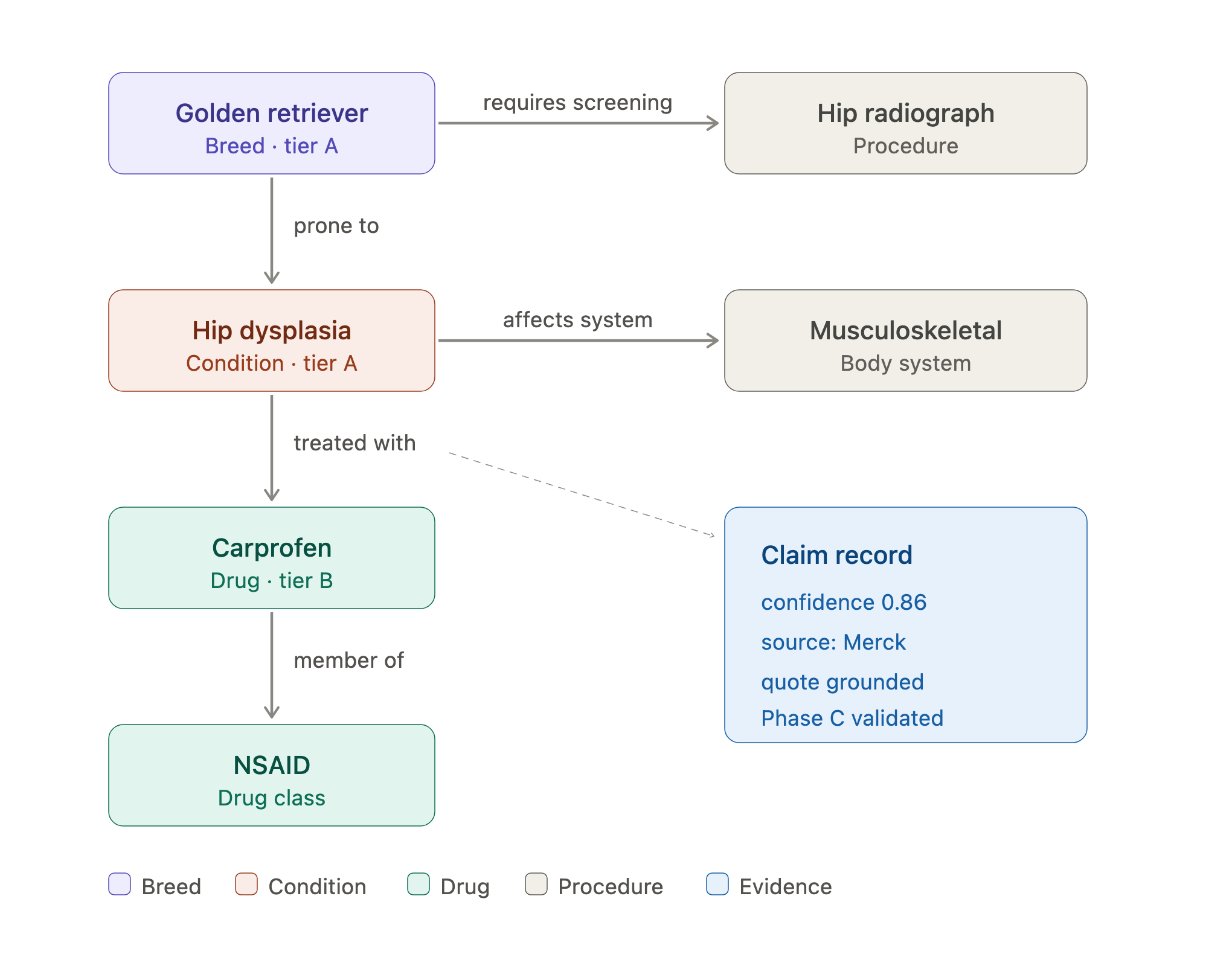 A fragment of the breed knowledge graph — a Golden Retriever breed linked by typed relationships to a condition, its treatment drug and drug class, a screening procedure, an affected body system, and a sourced evidence claim